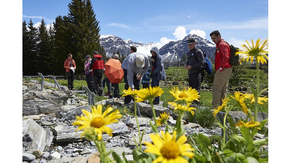 Alpengarten Arosa
